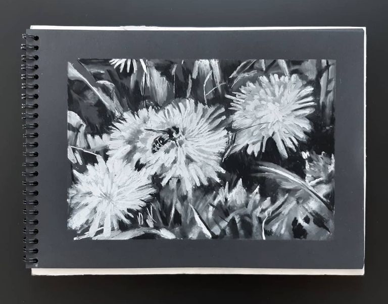 coal scetches