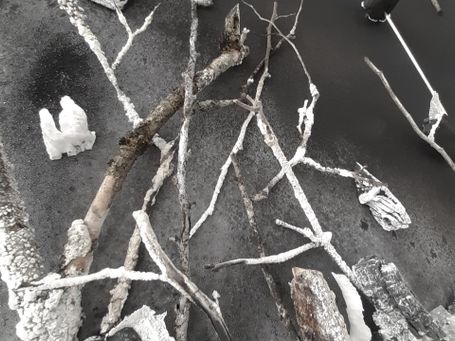 detail 03 - reziproke polstelle