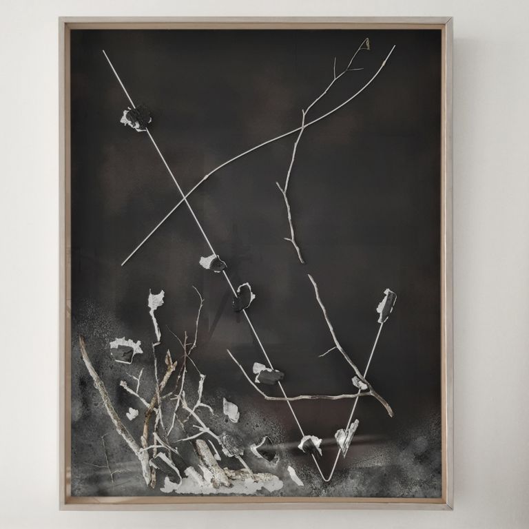 "reziproke Polstelle mehrerer Gestrüpp Äste (0)"   "reciprocal polepoint of several undergrowth branches (0) "  2021 / Objektglaskasten 163 x 132 x 10 cm  Holzkohle, Aluminium , Weidenäste, Salz, Holzkohlepulver