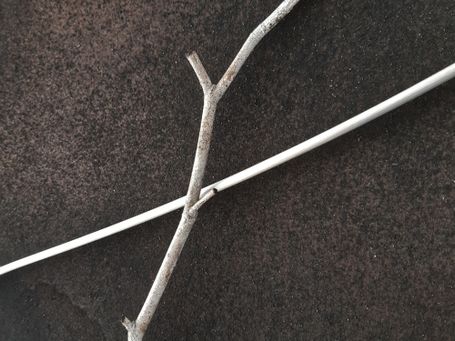 detail 01 - reziproke Polstelle